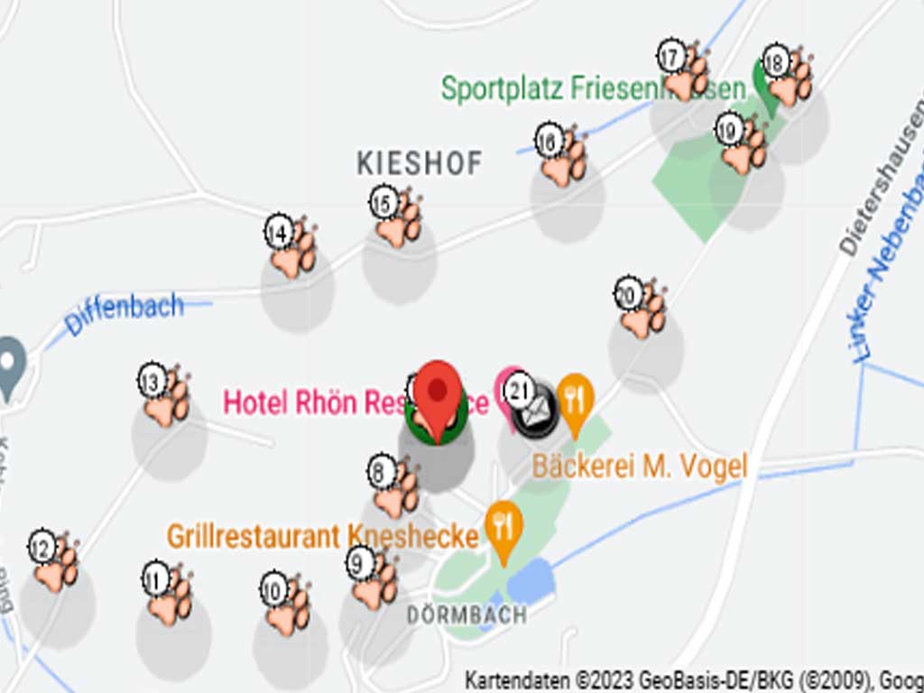 Werde ein Junior Scout/in.
